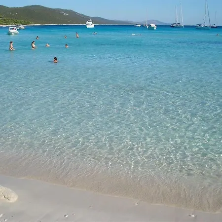 House Sakarun Tatil Evi *