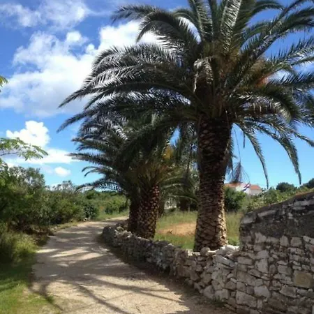 Tatil Evi House Sakarun *